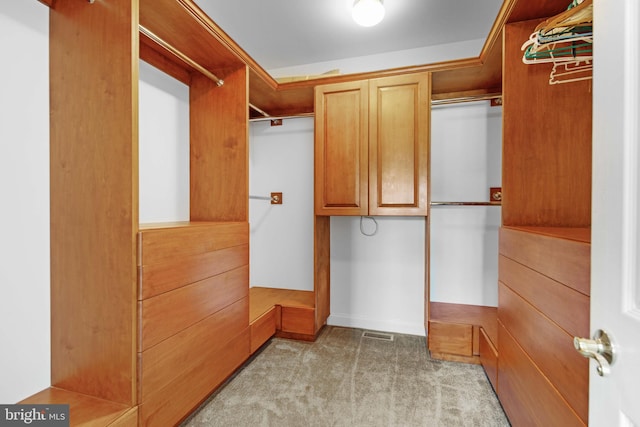 walk in closet with light carpet