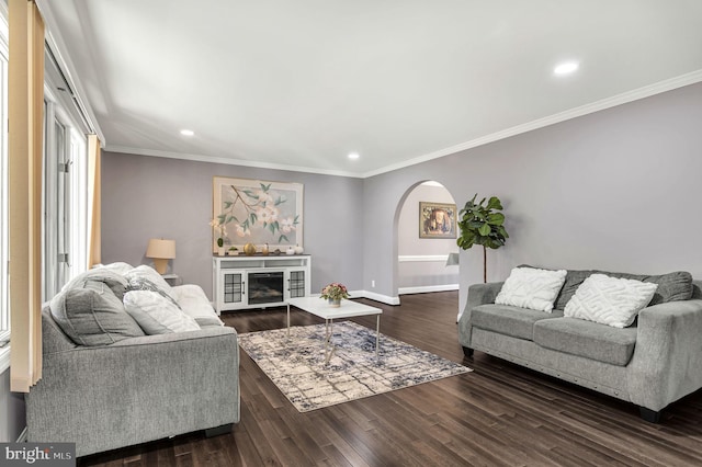 living room with crown molding and dark wood-type flooring