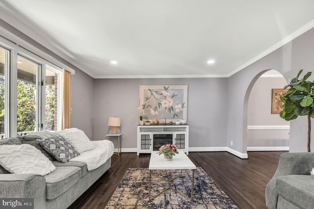 living room with dark hardwood / wood-style flooring and ornamental molding