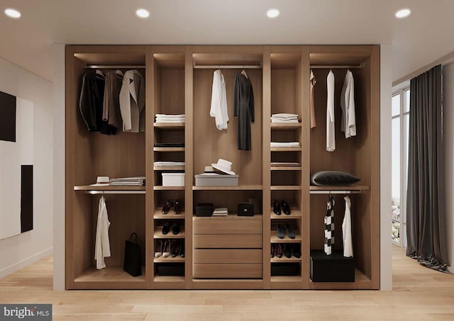 view of closet