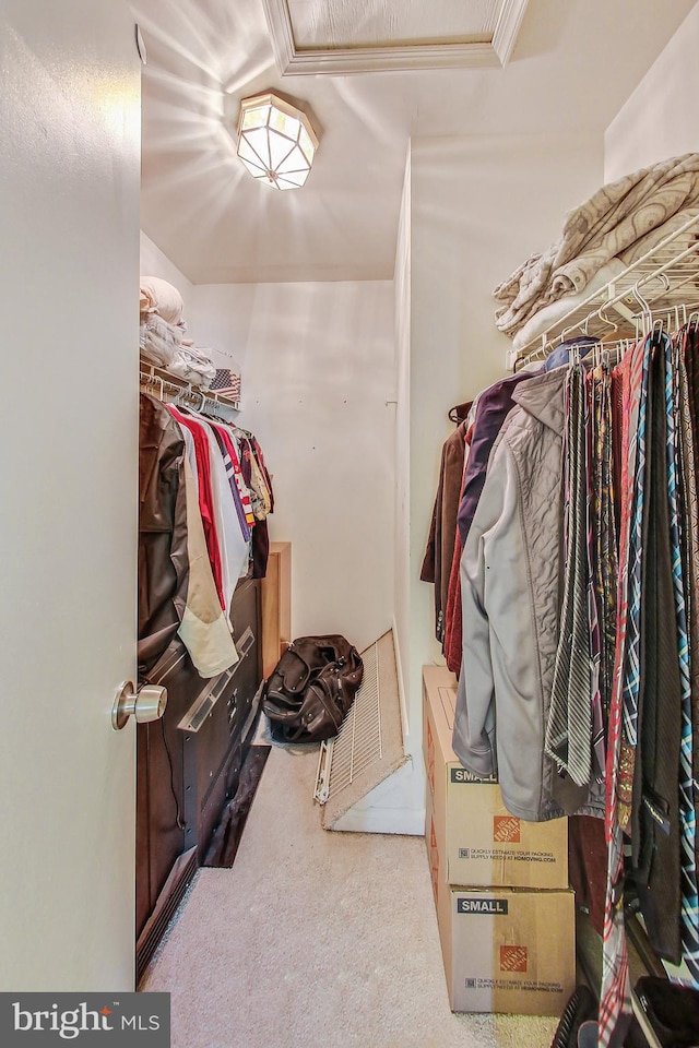 walk in closet with carpet