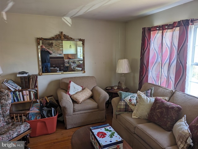 living room with hardwood / wood-style floors