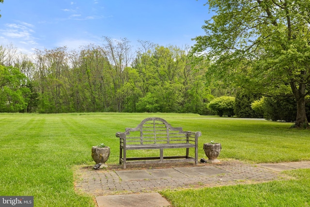 surrounding community featuring a lawn