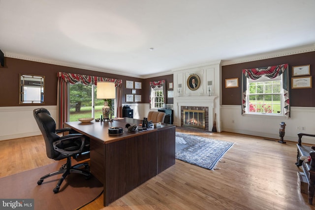 home office with crown molding, a fireplace, and light hardwood / wood-style flooring