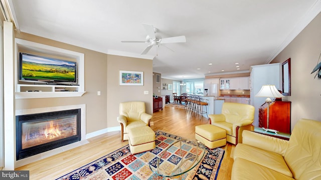 living room with ceiling fan, crown molding, and light hardwood / wood-style flooring