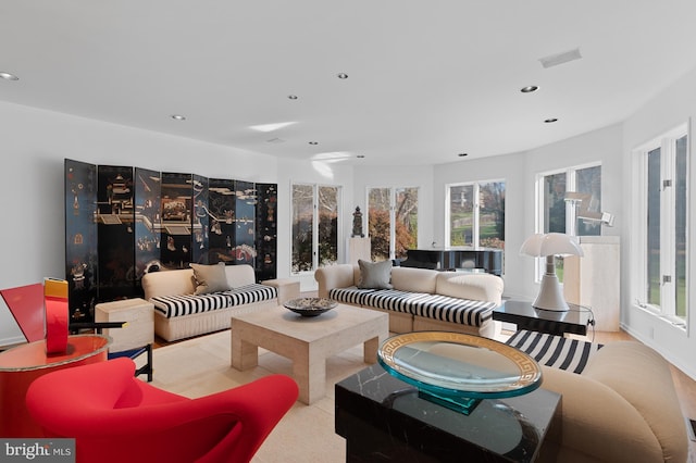 living room with wood-type flooring