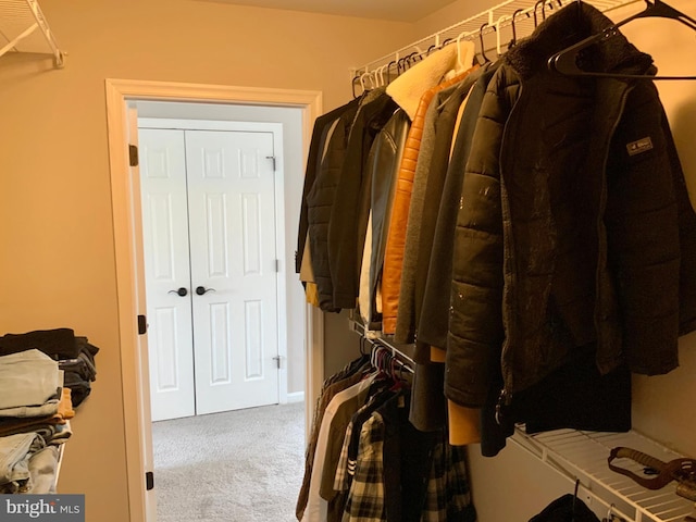 walk in closet featuring carpet flooring