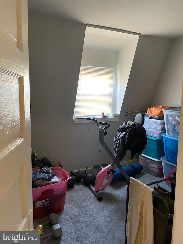 bonus room with carpet flooring