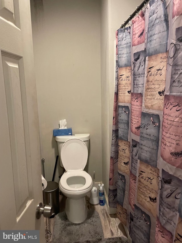 bathroom with wood-type flooring and toilet