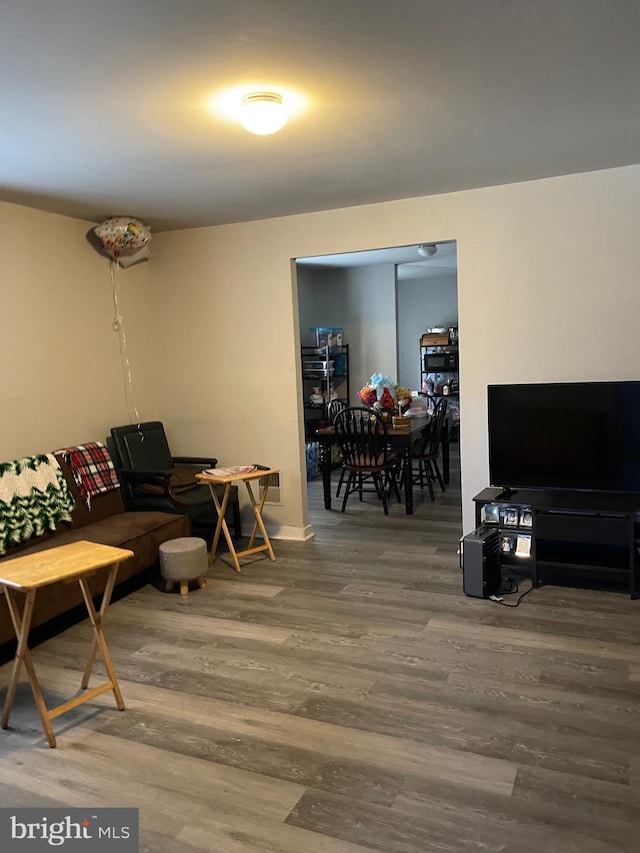 living room featuring wood-type flooring