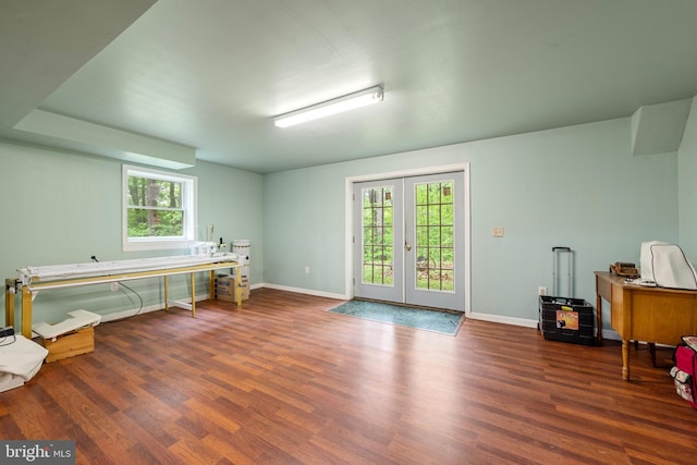 miscellaneous room featuring french doors, dark hardwood / wood-style floors, and a wealth of natural light