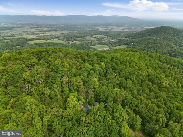 birds eye view of property featuring a mountain view