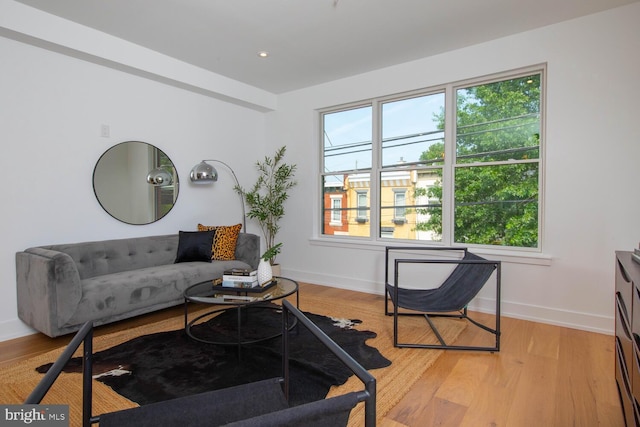 living room featuring light hardwood / wood-style floors and a healthy amount of sunlight