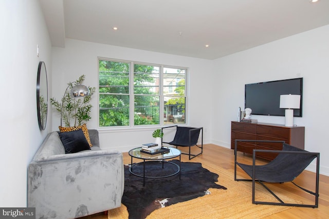 sitting room with light hardwood / wood-style flooring