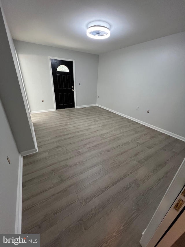 foyer entrance with wood-type flooring