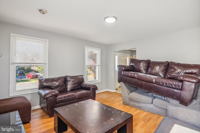 living room featuring hardwood / wood-style flooring