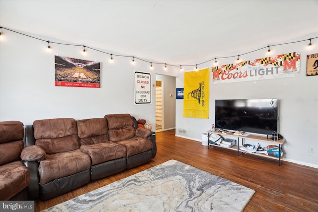 living room with wood-type flooring