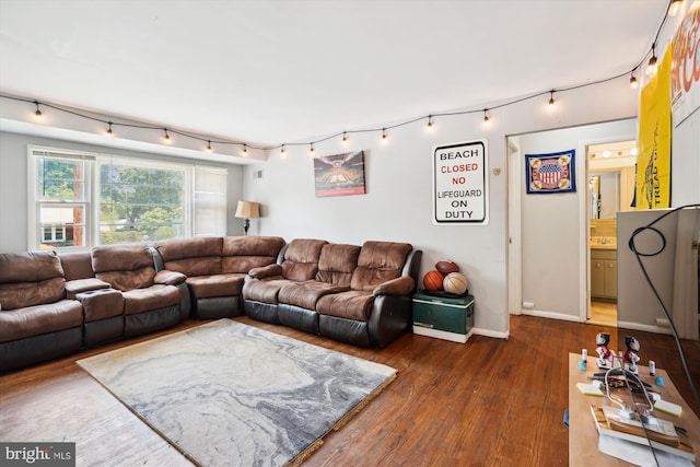 living room with dark hardwood / wood-style flooring