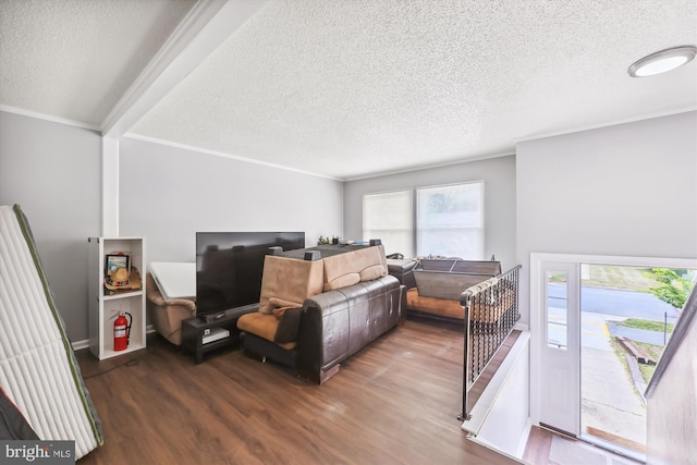 living room with crown molding, plenty of natural light, a textured ceiling, and hardwood / wood-style flooring