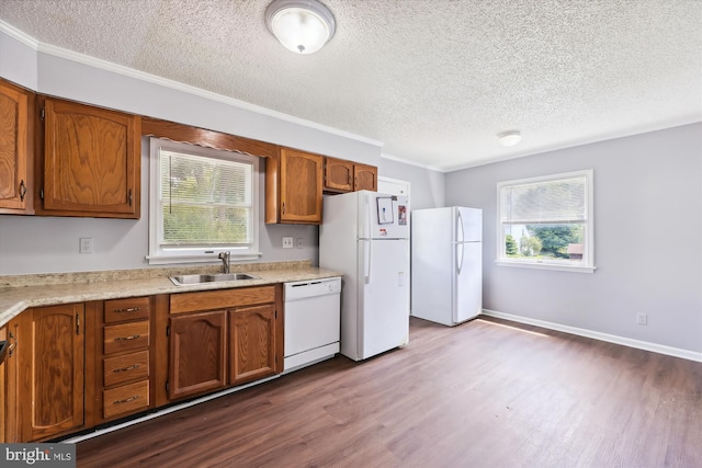 kitchen with hardwood / wood-style floors, white appliances, plenty of natural light, and sink