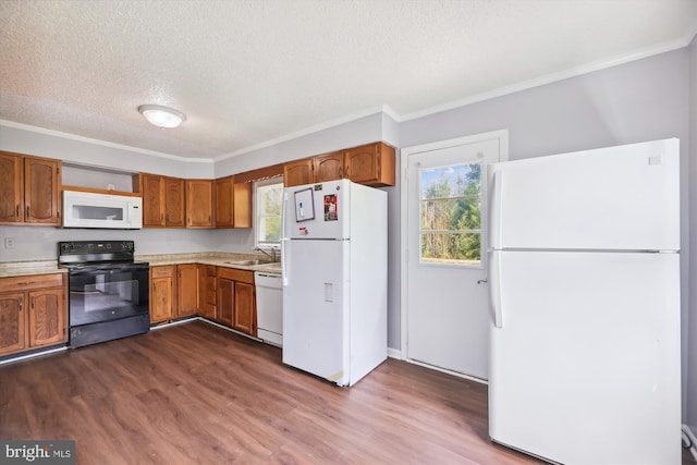 kitchen with a healthy amount of sunlight, white appliances, sink, and dark wood-type flooring