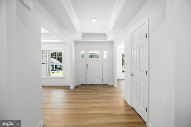 entrance foyer with light wood finished floors, a healthy amount of sunlight, a tray ceiling, and ornamental molding