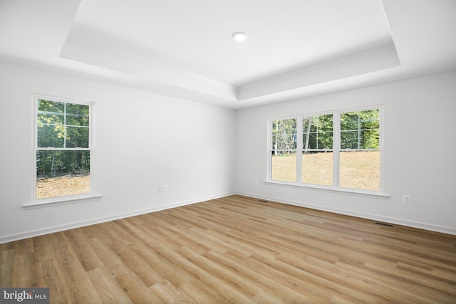 spare room featuring baseboards, a raised ceiling, a healthy amount of sunlight, and light wood-style flooring