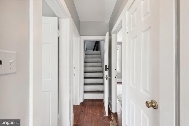 hall featuring dark hardwood / wood-style flooring