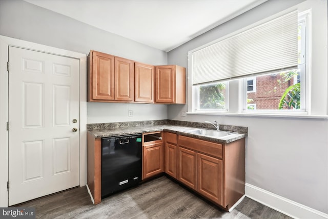 kitchen featuring dark hardwood / wood-style flooring, black dishwasher, and sink