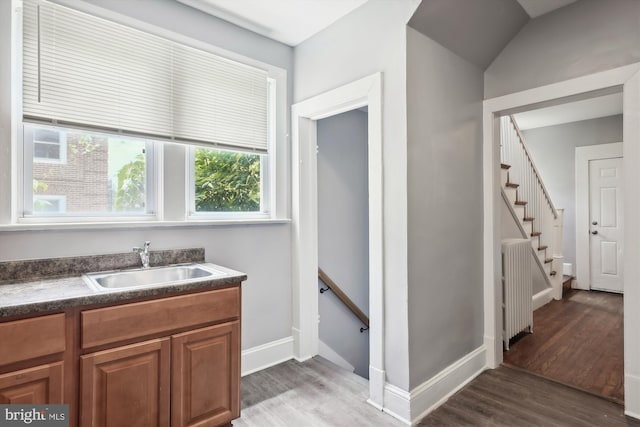 bathroom featuring vanity and hardwood / wood-style flooring