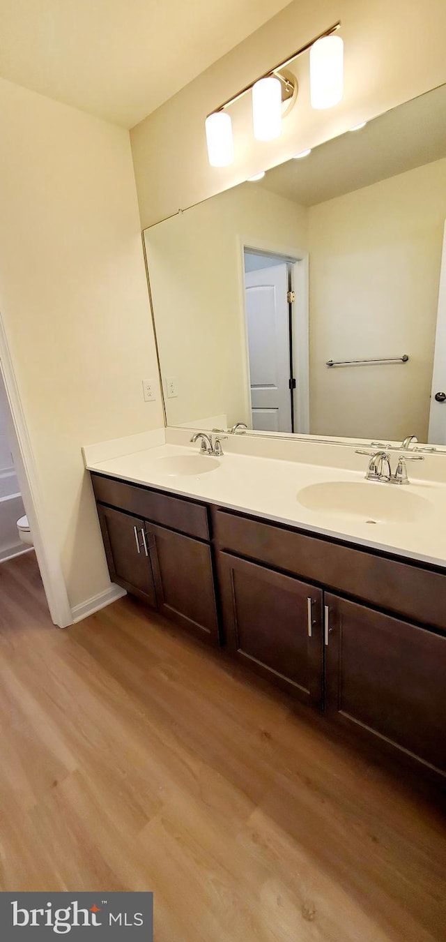 bathroom with vanity and wood-type flooring