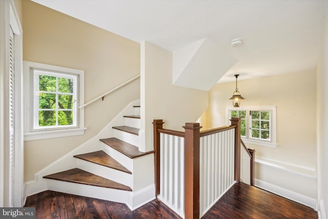 staircase featuring plenty of natural light and hardwood / wood-style flooring