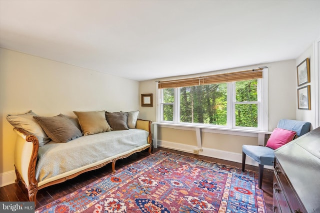 living room with hardwood / wood-style floors