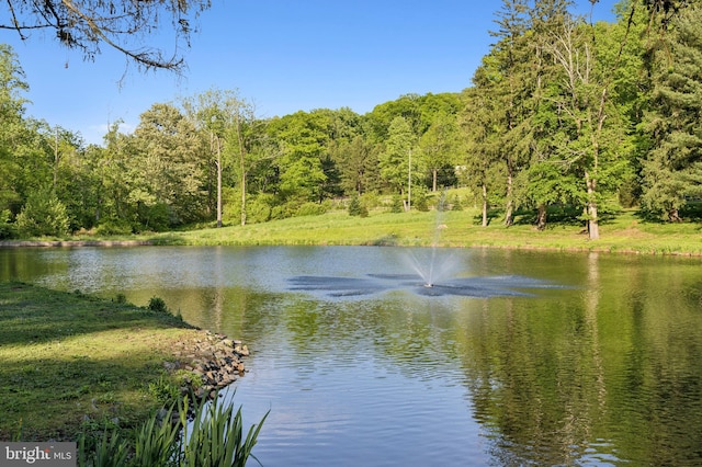 view of water feature