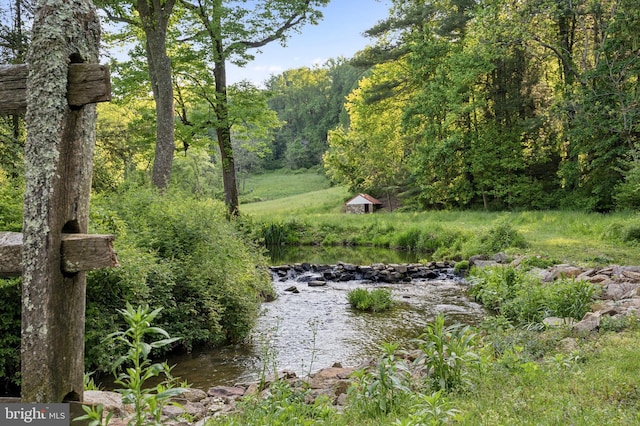 view of nature