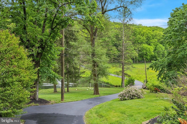 view of home's community featuring a yard