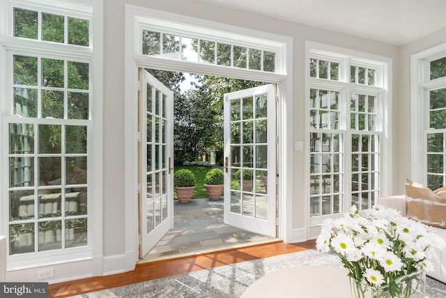 entryway with hardwood / wood-style floors