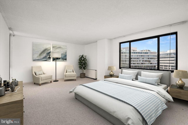 bedroom with carpet flooring and a textured ceiling