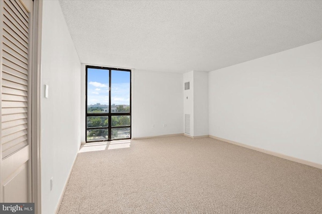 spare room featuring carpet flooring, a textured ceiling, and expansive windows