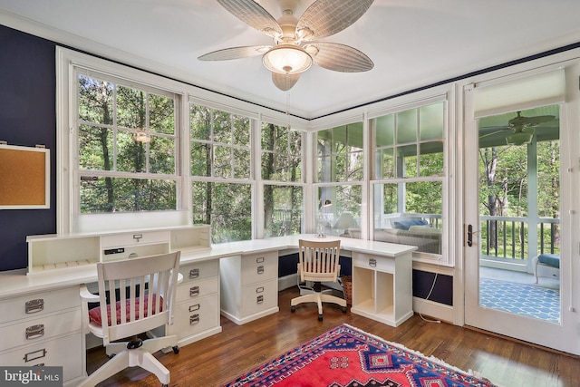 office space featuring dark hardwood / wood-style floors and ceiling fan