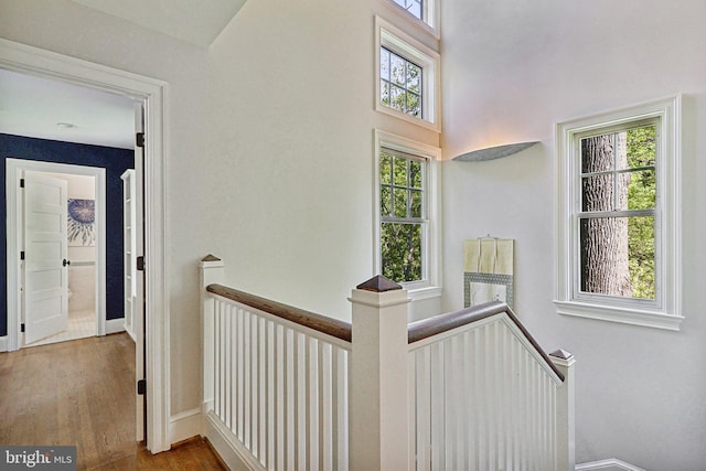 stairway with hardwood / wood-style floors