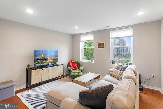 living room with hardwood / wood-style floors