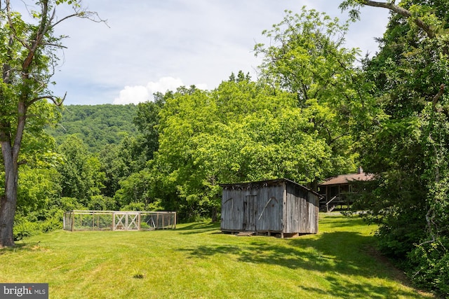 view of yard with a shed