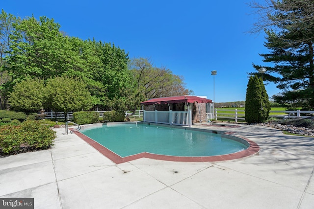 view of swimming pool with a patio area