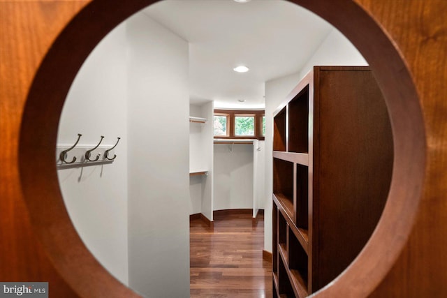 walk in closet featuring dark hardwood / wood-style flooring