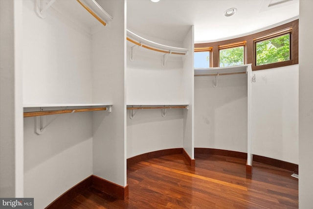 walk in closet featuring hardwood / wood-style flooring