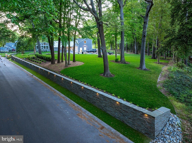 view of home's community featuring a yard