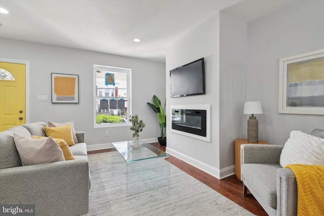 living room featuring dark wood-type flooring