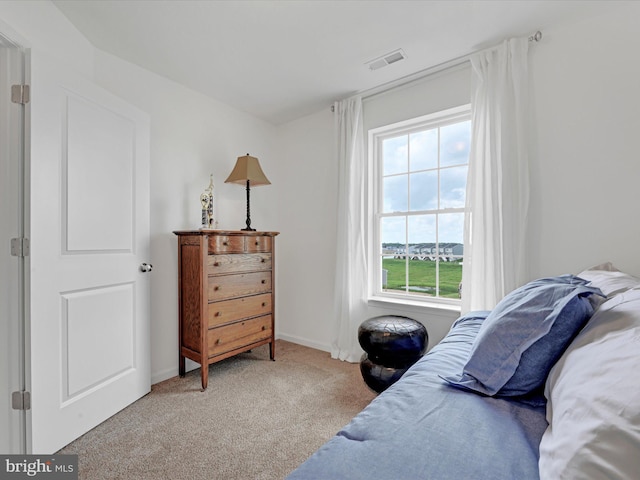 bedroom with multiple windows and carpet flooring