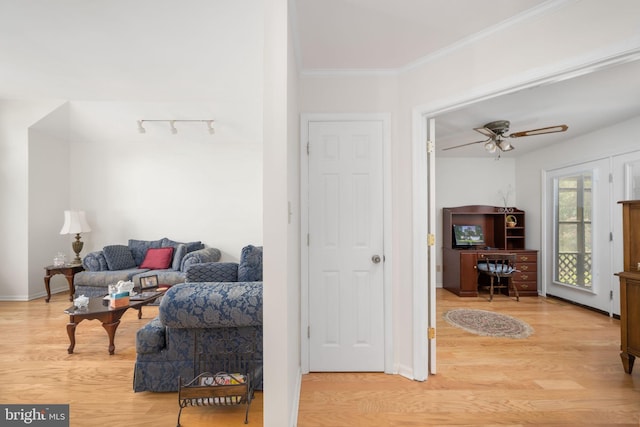 living room with ceiling fan, light wood-type flooring, and crown molding